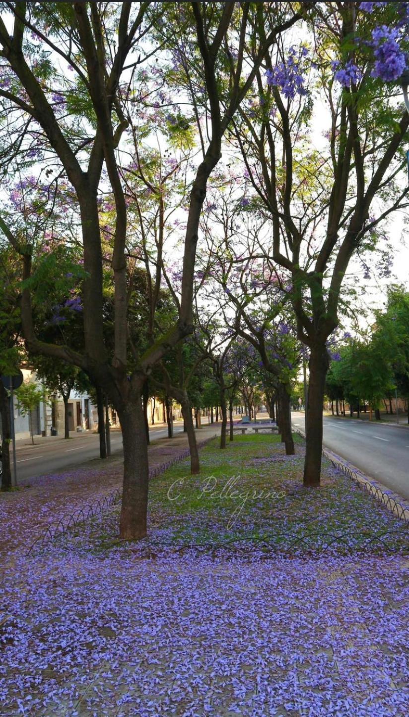 Le Tre Civette Bed & Breakfast เลชเช ภายนอก รูปภาพ